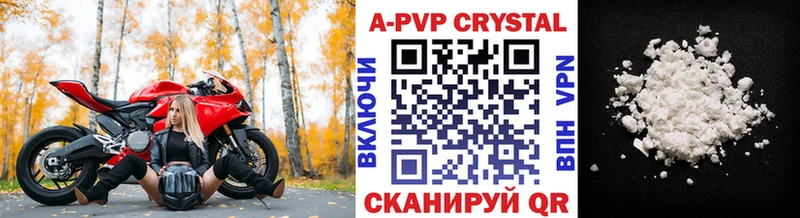 МЕФ Черногорск