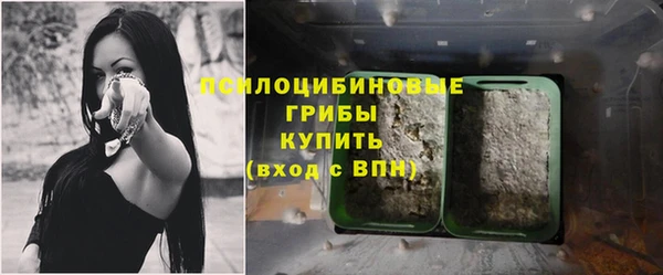 ECSTASY Семикаракорск