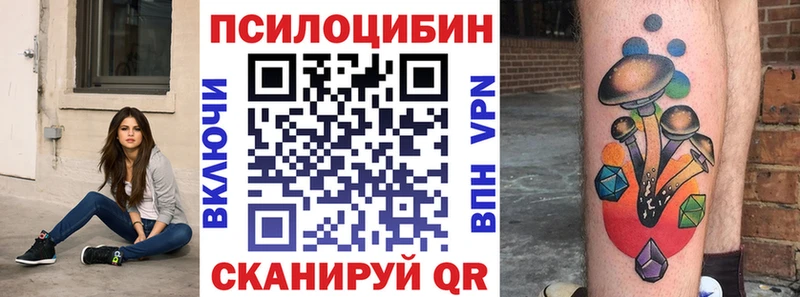 ОМГ ОМГ tor  Черногорск  Галлюциногенные грибы Cubensis 